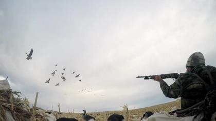 Adding honker floaters in your duck decoy spread can greatly add to your success.