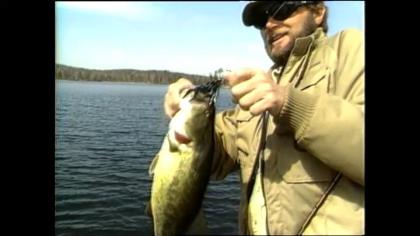 Switch Bait Profiles to Catch More Fish - In-Fisherman