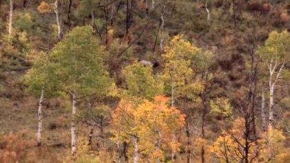 Travel along with Joe Ferronato to Alaska's remote Tundra to hunt grizzly bears with Leupold's Shawn Skipper and Brownin...