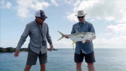 The tried-and-true Texas rig still outperforms just about any other bait when prospecting deep brush piles for bass in s...