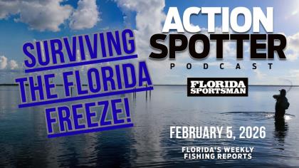 Surviving The Florida Freeze!