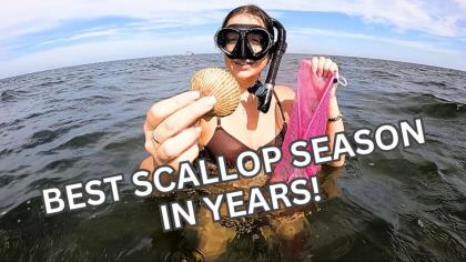 Scalloping Florida's Nature Coast