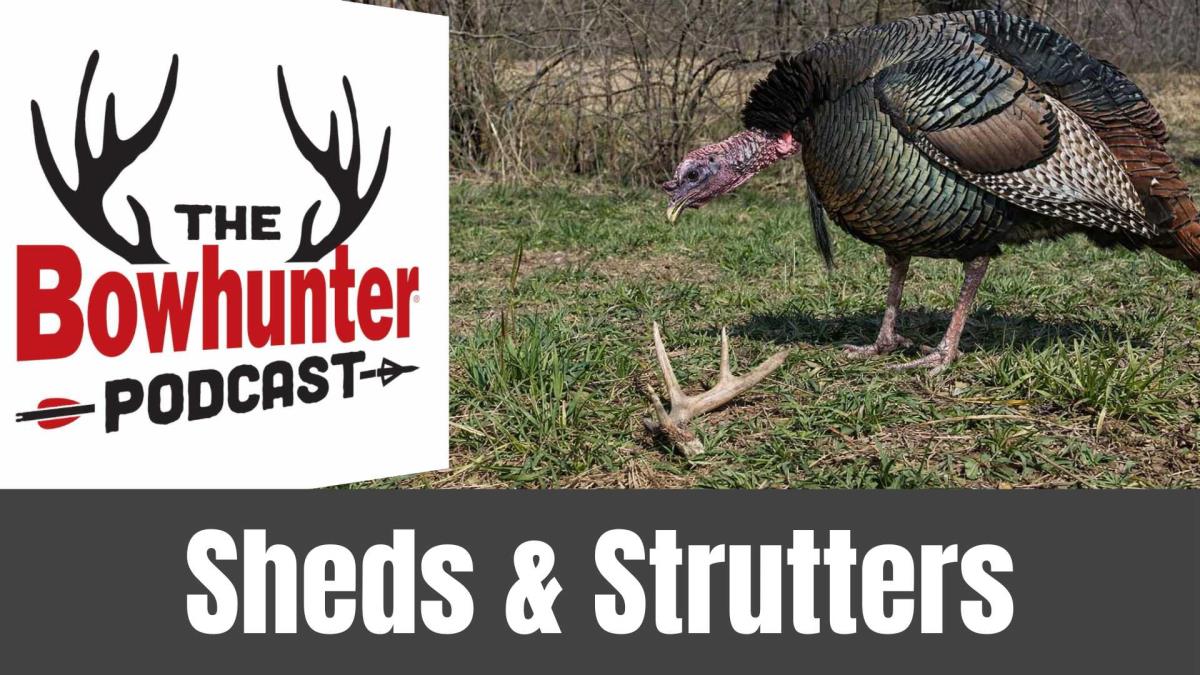 The Bowhunter Podcast
