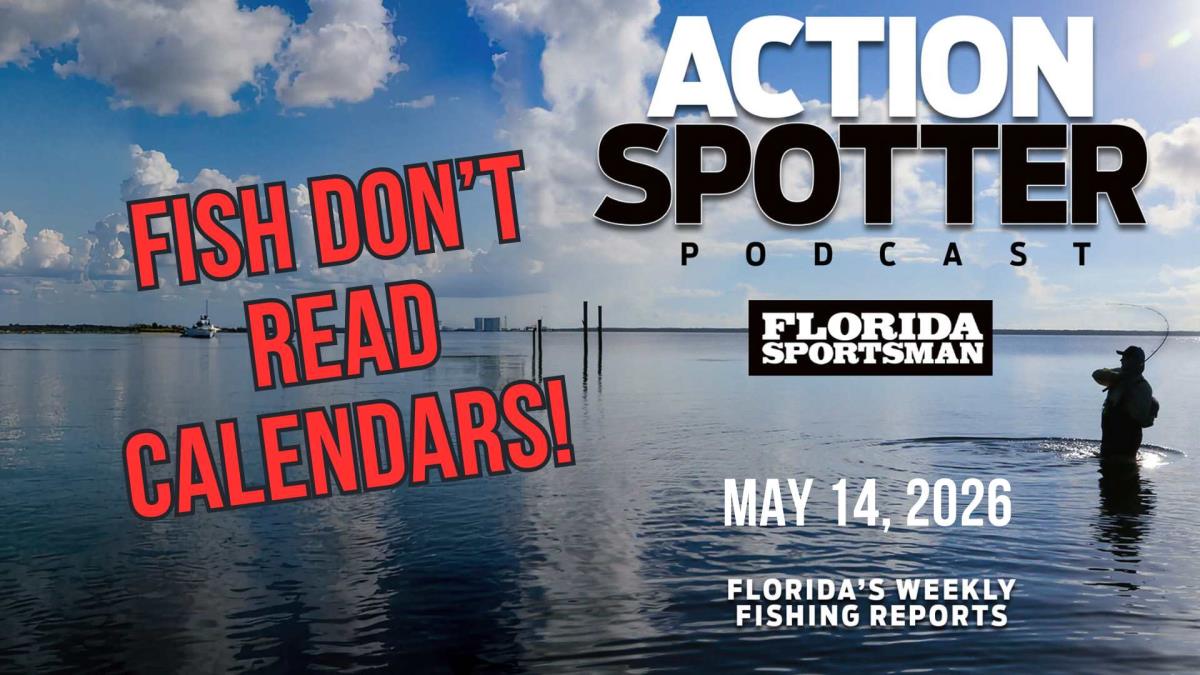 Fish Don't Read Calendars! - Florida Sportsman