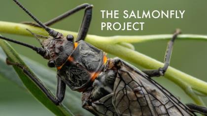 Meet the Salmonfly Project: The Grassroots Effort to Protect Fly Fishing's Future 