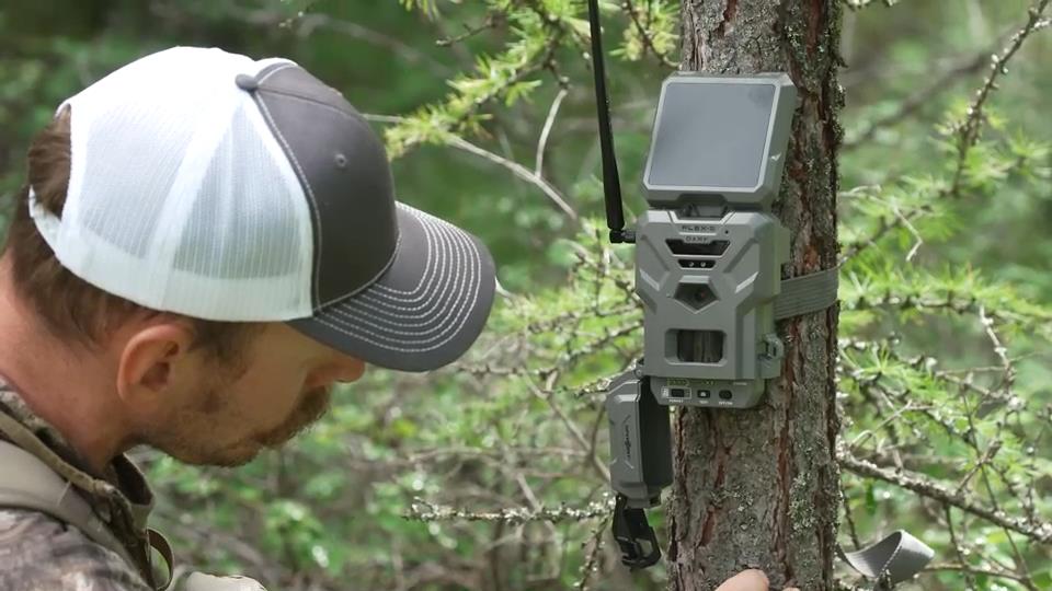 Comparing Today's Best 7mm Cartridges for Hunting and Long-R - Game & Fish