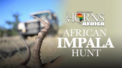 African Impala Hunt: Tracking a South African Ram
