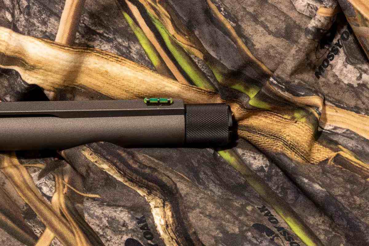 Weatherby Element II Review: A Reliable, Affordable Inertia - Game