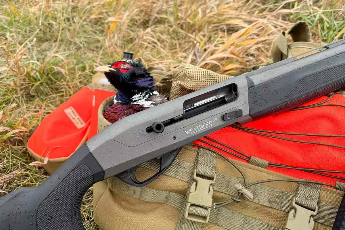 Weatherby Element II Review: A Reliable, Affordable Inertia - Game