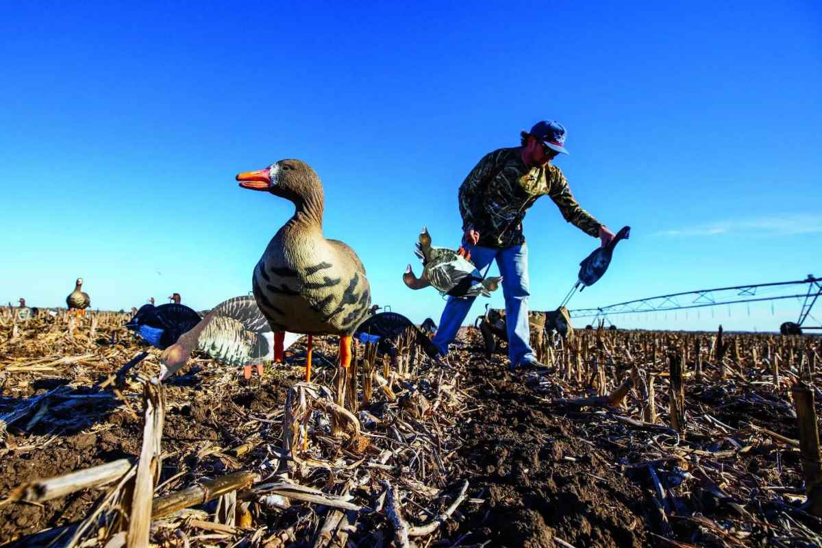 Lining Up For Ducks - Understanding Long Line Decoying