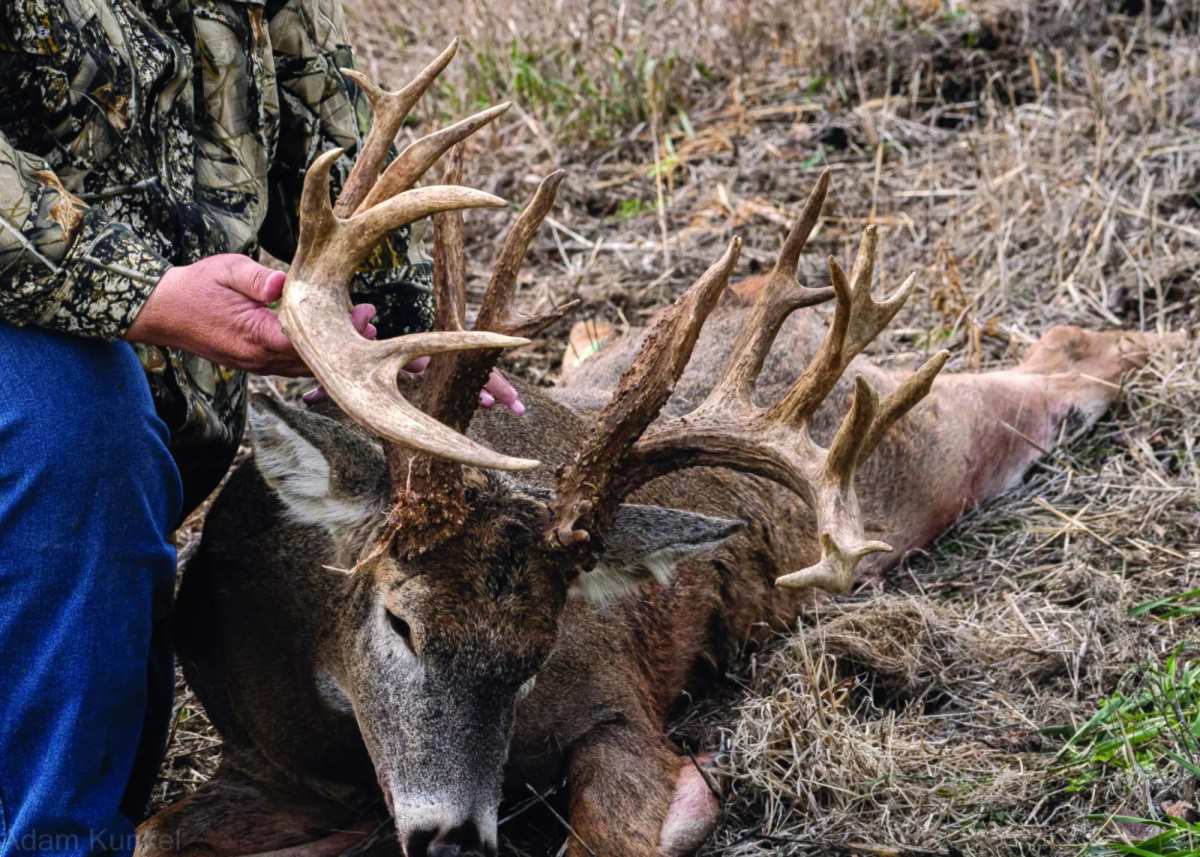 The Best Rut Game Plan Results In Enormous 230inch Buck North