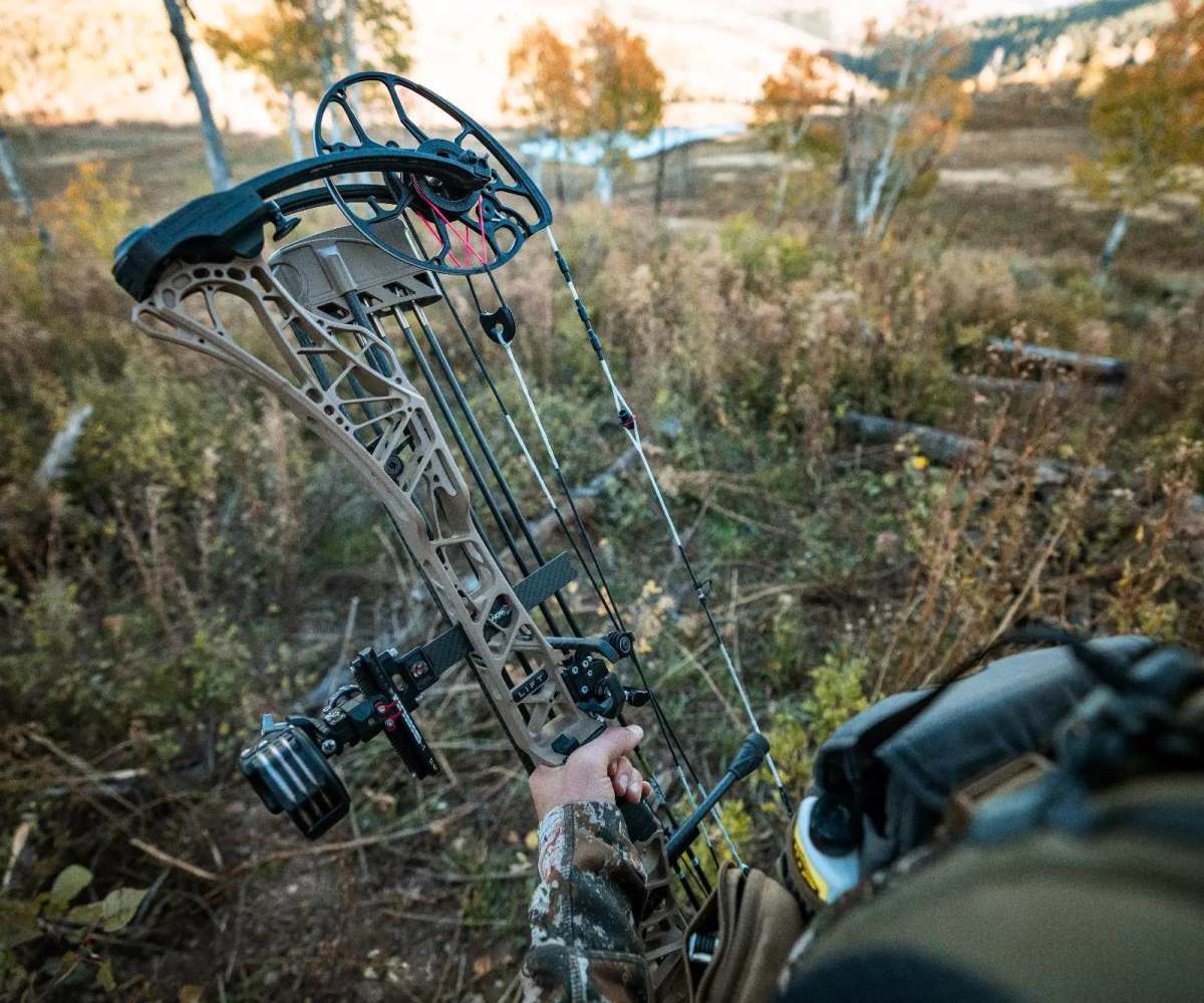 Best Bowfishing Bows Reviewed: Hunting Fish in 2024 - USAngler