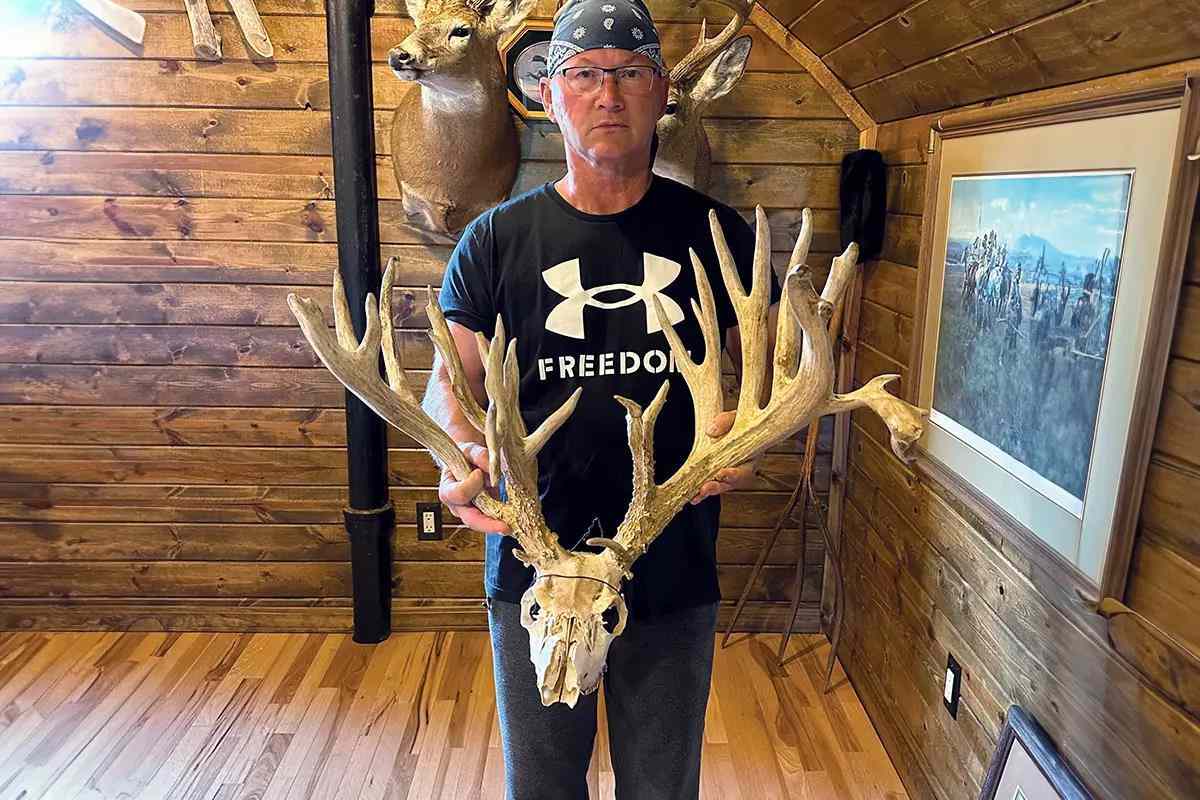 Found and Forgotten: The Gigantic Buck in the Attic
