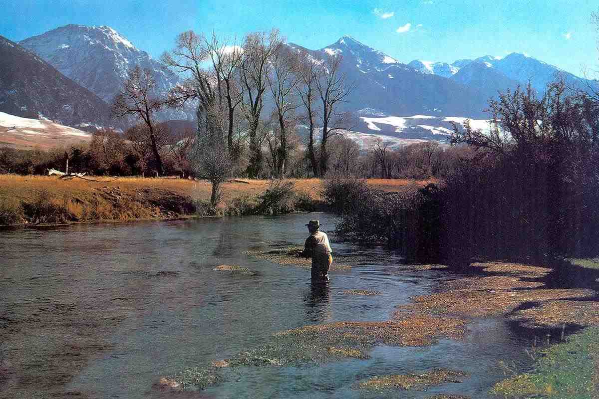 Fly Fisherman Throwback: Western Spring Creeks in Autumn