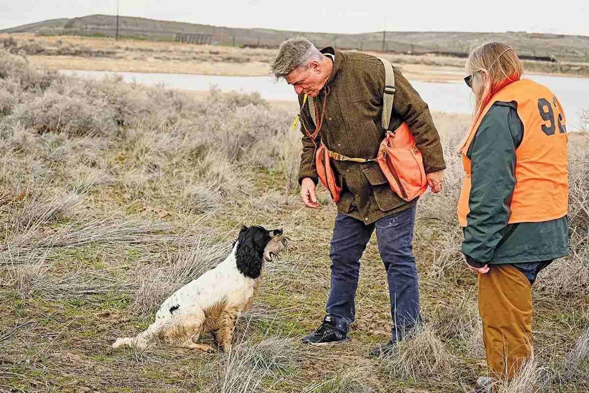 A handler reaches down to take a chukar from his spaniel while a field trial judge watches.