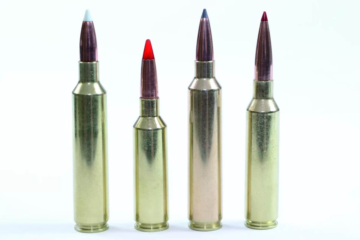 Types of Big Game Bullets