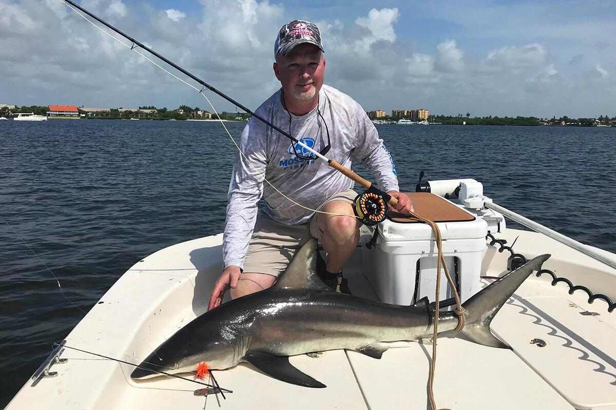 What You Need To Know About Shark Fishing: Fly Fishing Editi - Florida  Sportsman