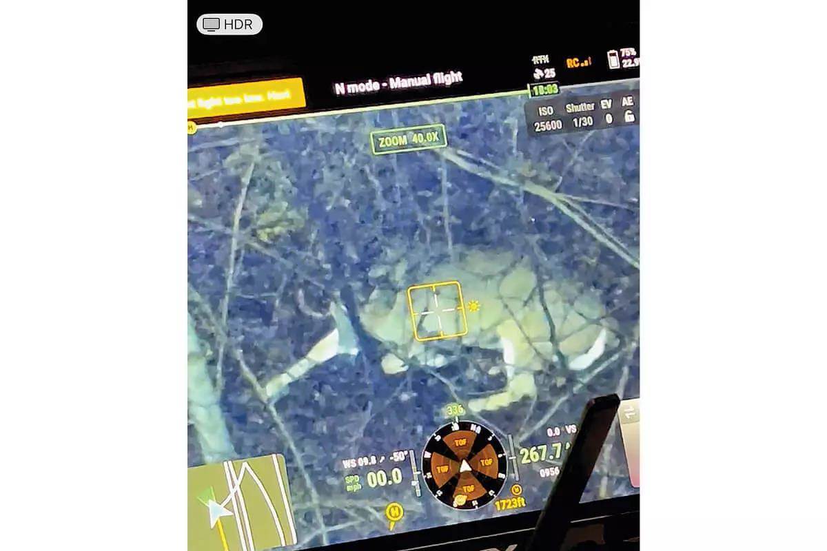 thermal drone to aid in deer recovery