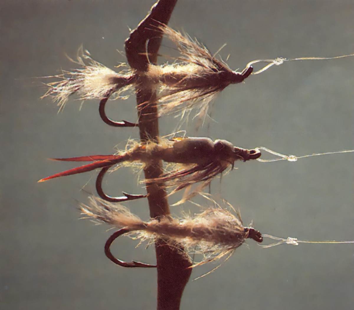 Fly Fisherman Throwback: The Whitlock Nymphing System–Part I - Fly Fisherman