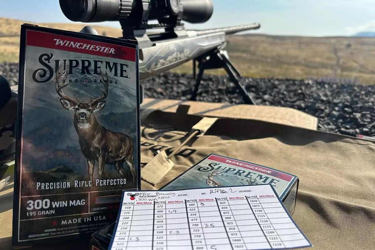 ammo box art and rifle