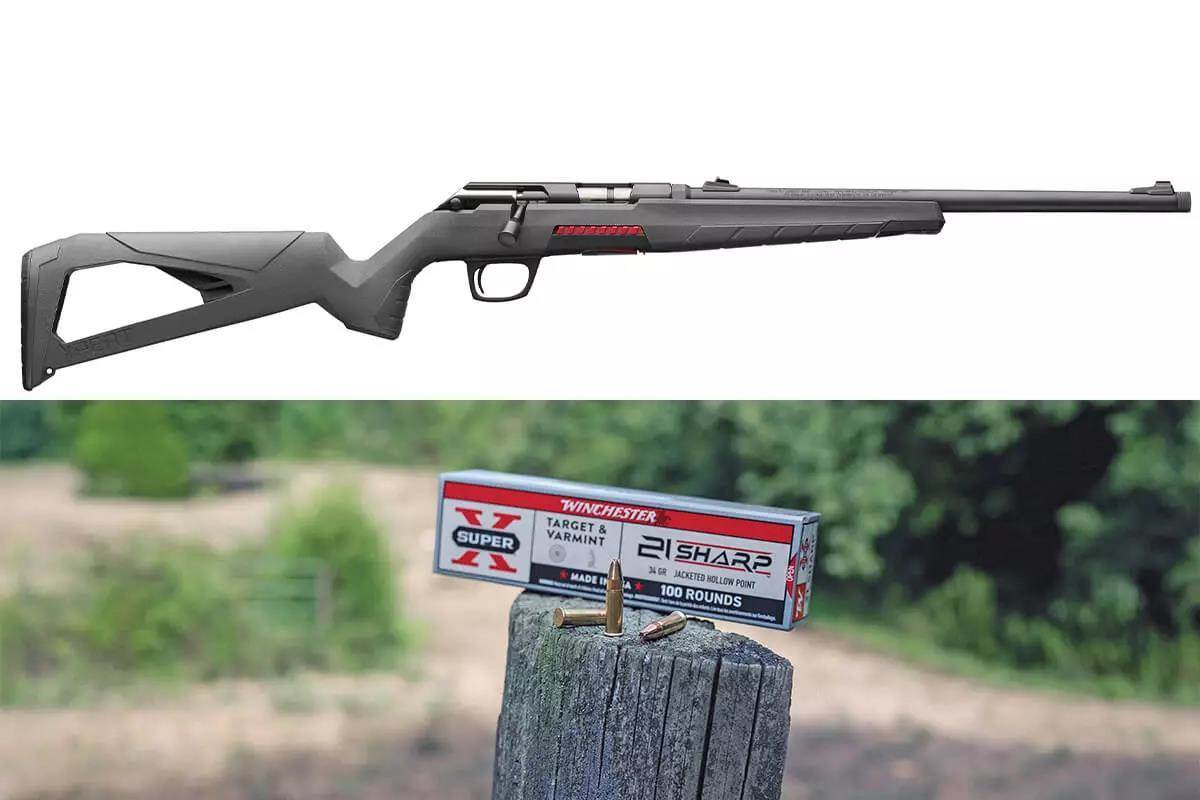 winchester rifle and ammo