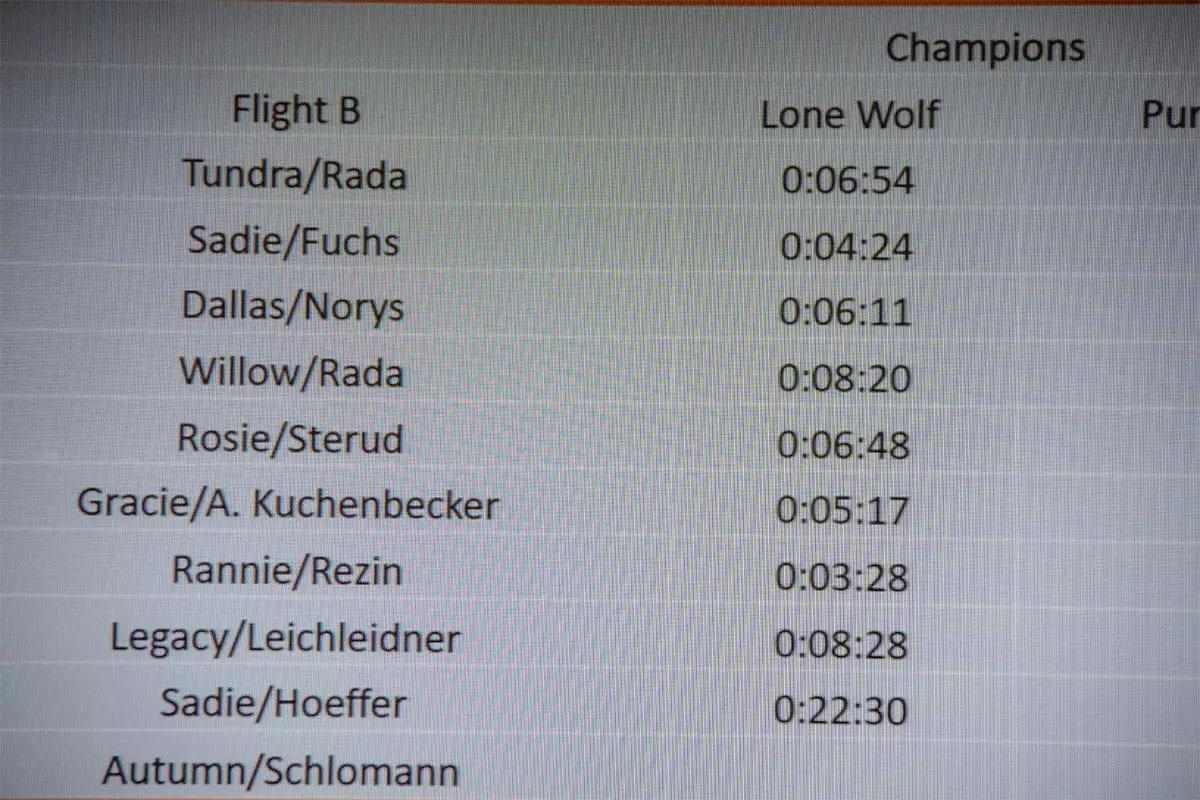 Score sheet from dog trials