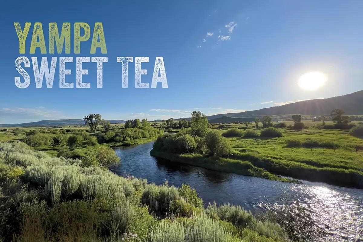 Yampa Sweet Tea: Keeping Colorado's Last Wild River Free