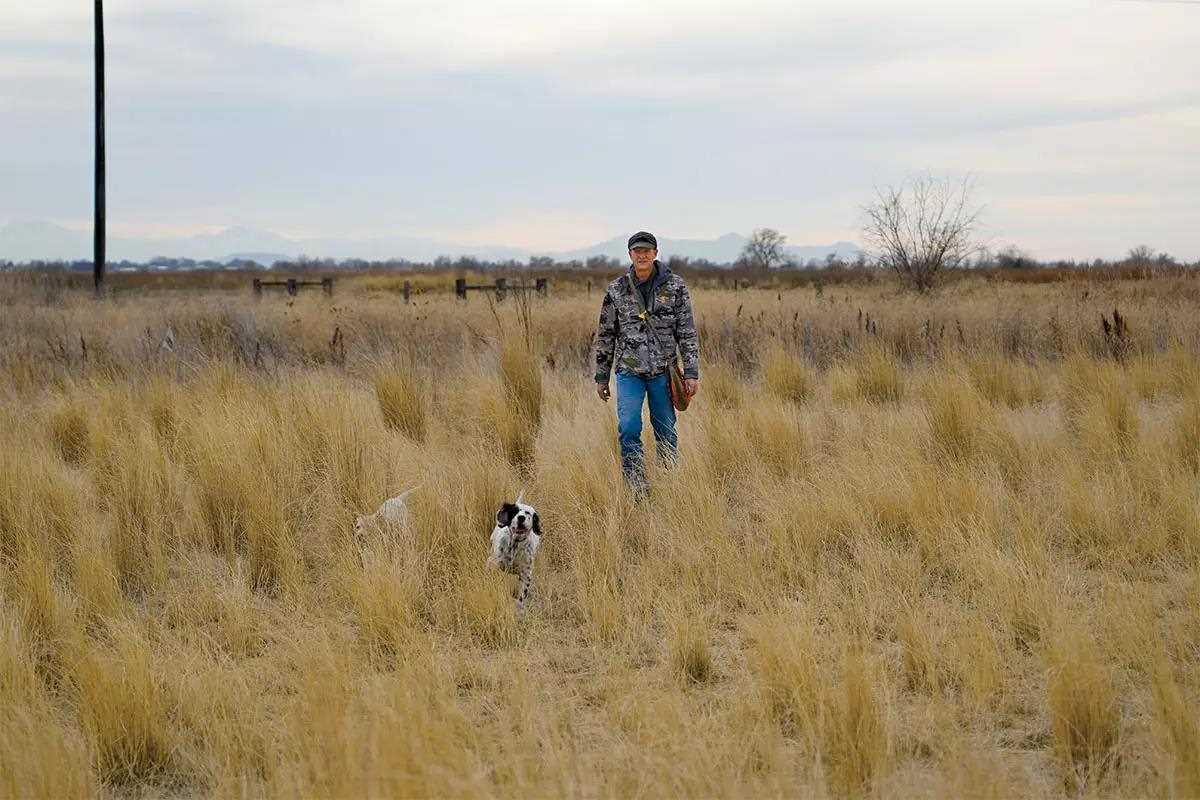 Two hunting dog puppies run through a grassy field in front of a hunter wearing camo.