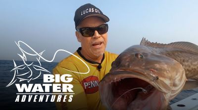 Crocodile Bay, Costa Rica Offshore Action