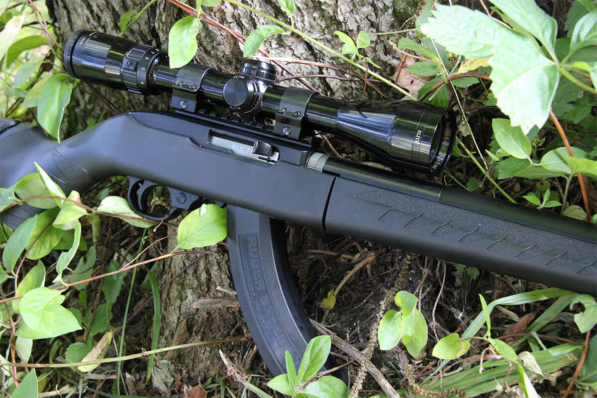 Best Ruger 10/22 Rifles for Hunting, Plinking and Competitio