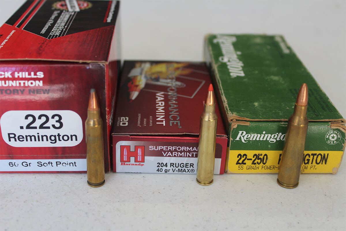 What Are the Top Varmint Hunting Cartridges?