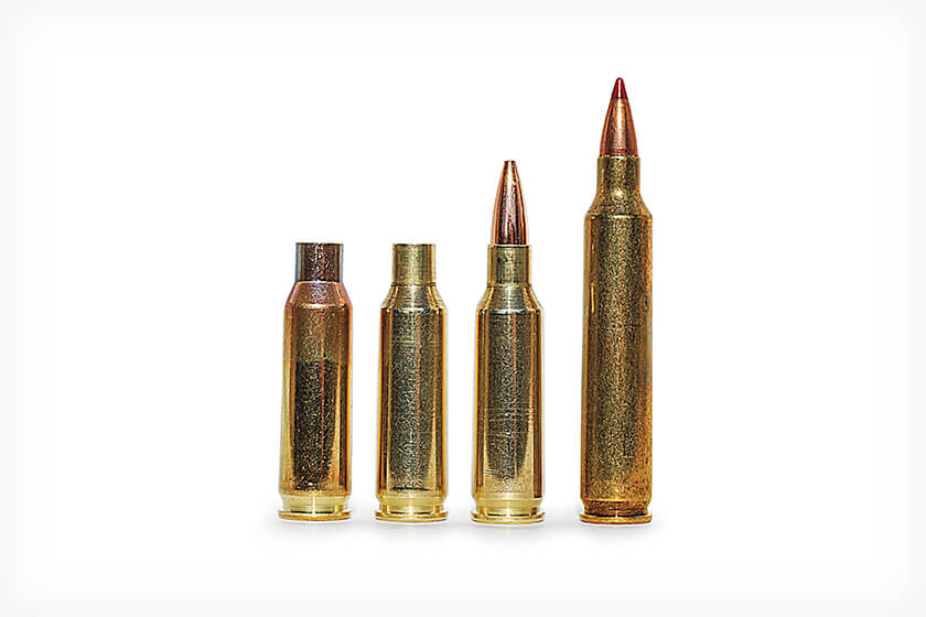 20-vartarg-ammo-wildcat-cartridge