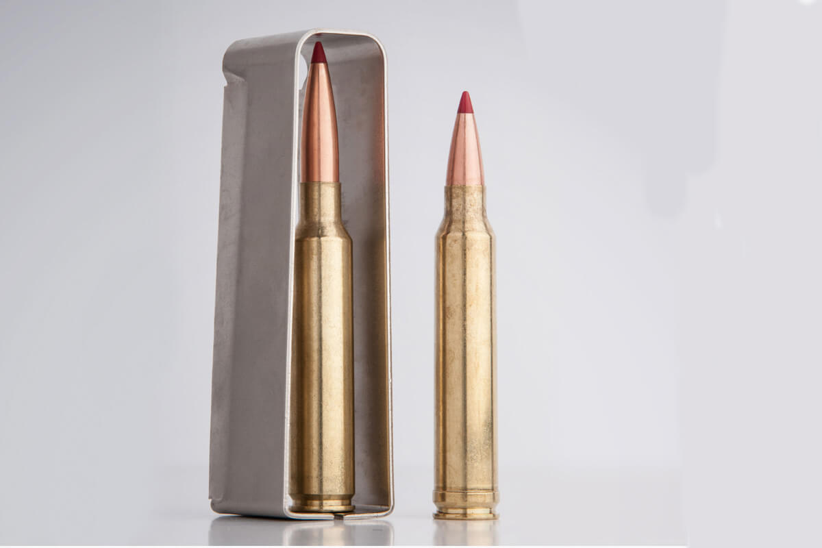 .300 PRC vs. .300 Win Mag: Rifle Cartridge Comparison Review
