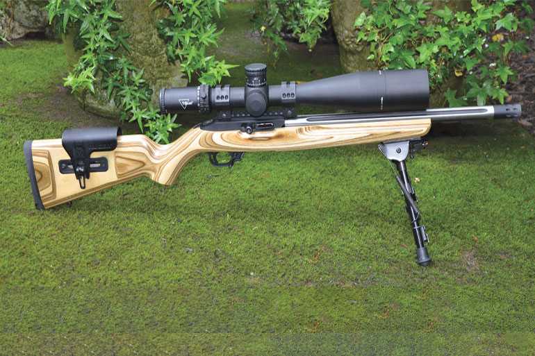 Ruger Custom Shop 10/22 Competition Rifle at 300 Yards
