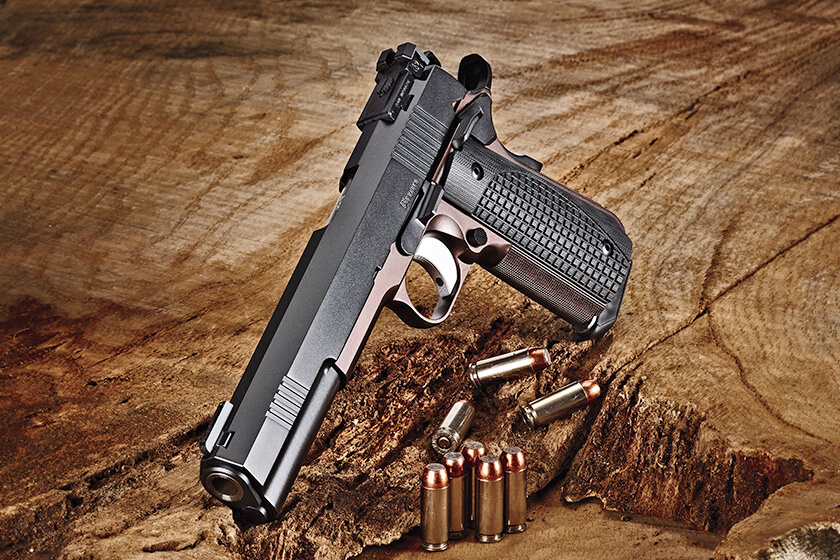 Dan Wesson Bruin 10mm Pistol Review: A Bear of a 1911