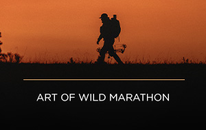 Art of Wild Marathon