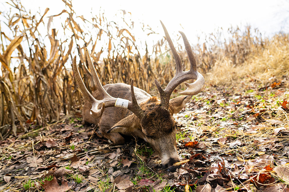 HuntWorx