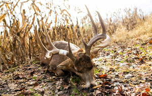 HuntWorx