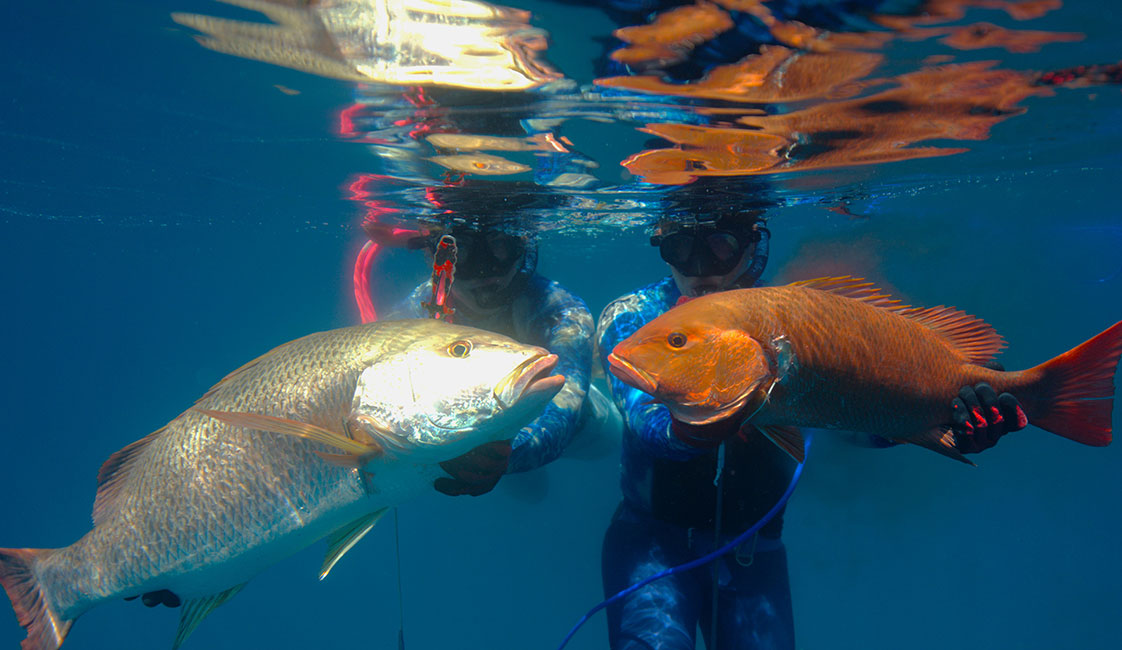 Julie Higgs Spearfishing