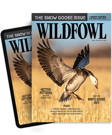 Wildfowl Magazine Covers Print and Tablet Versions