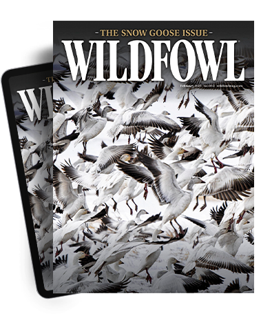 Subscribe to the Magazine