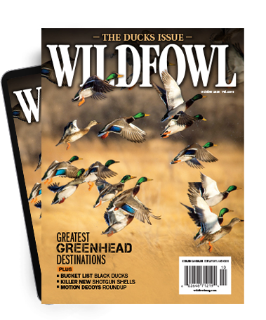 Subscribe to the Magazine