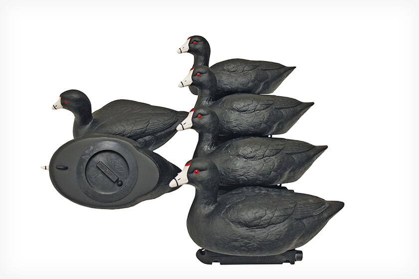 MOJO outdoors coot confidence six pack decoys