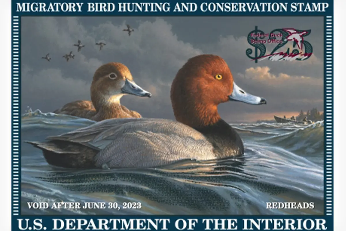 2022-2023 Federal and Junior Duck Stamps Are Now Available