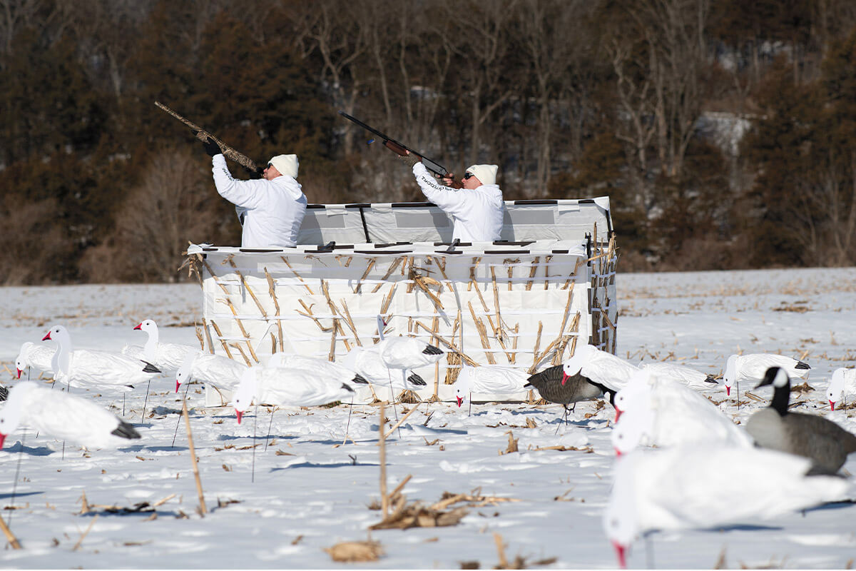 Best Snow Goose Hunting Gear of 2023 Wildfowl