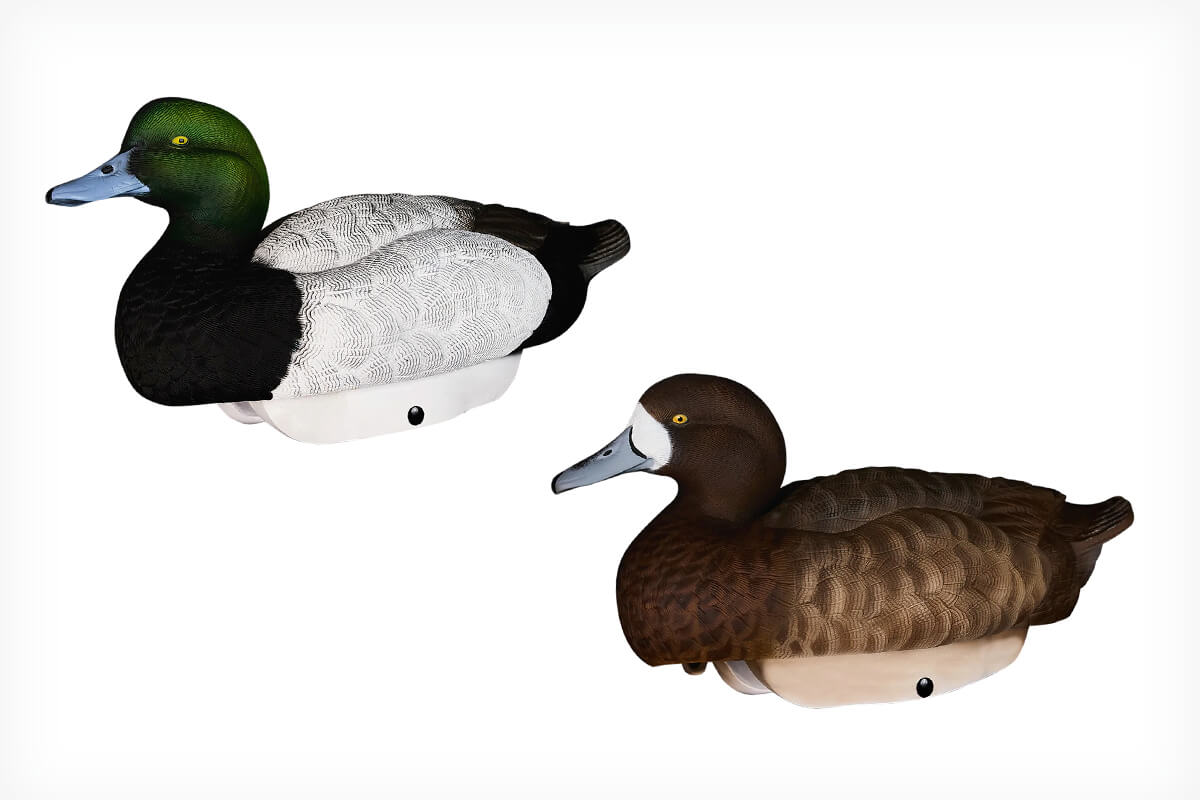 Best Diver Duck Decoys - Wildfowl