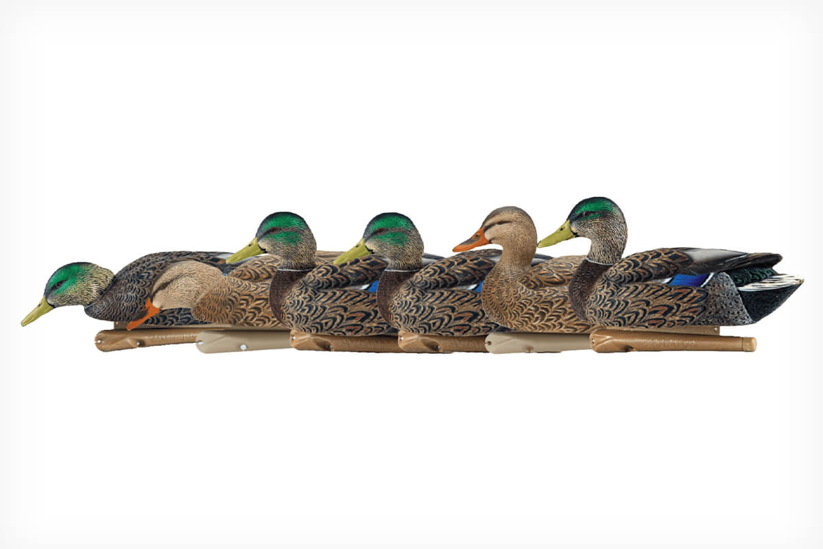 MOJO Outdoors - Mini Mallard Elite