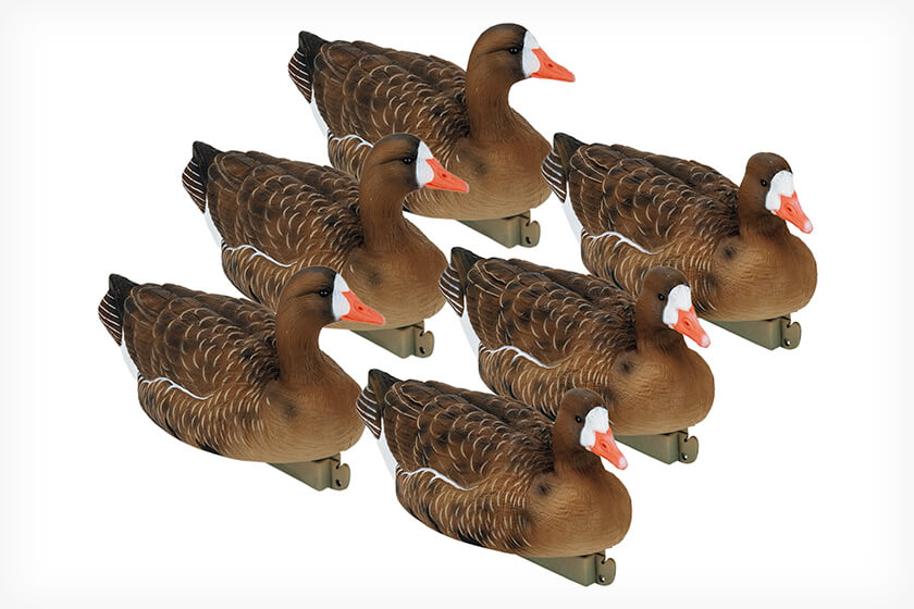 Tangefree flight series specklebelly goose floater decoys
