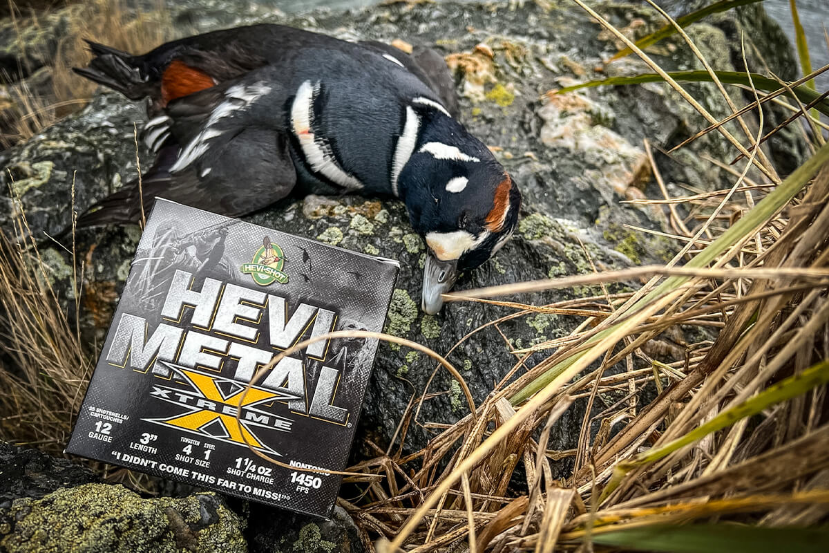 Best Waterfowl Hunting Shotshells of 2023