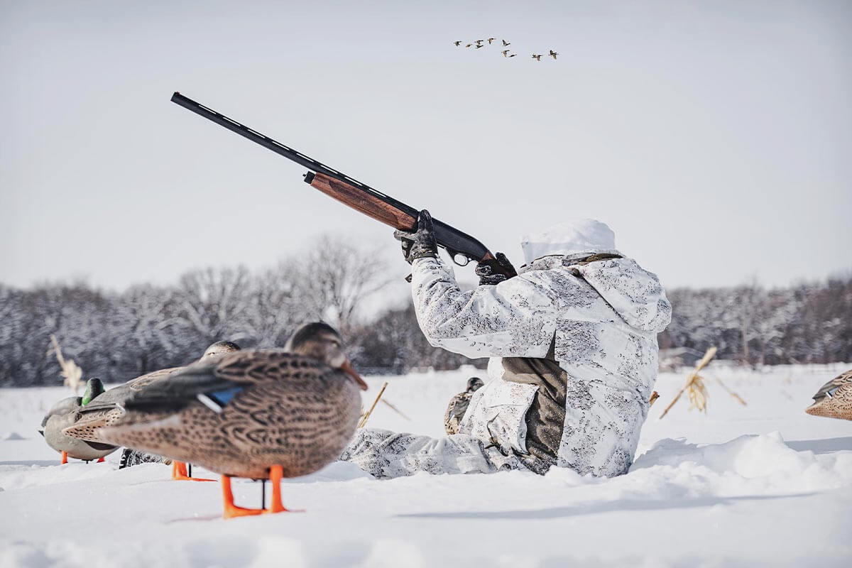 Goose Hunting Shotgun: The Best Waterfowl Shotguns Revealed